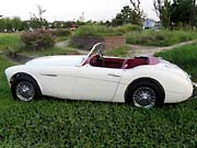 AUSTIN HEALEY 3000Mk1