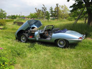 '65 JAGUARE E-TYPE Sr1